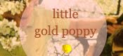 little gold poppy